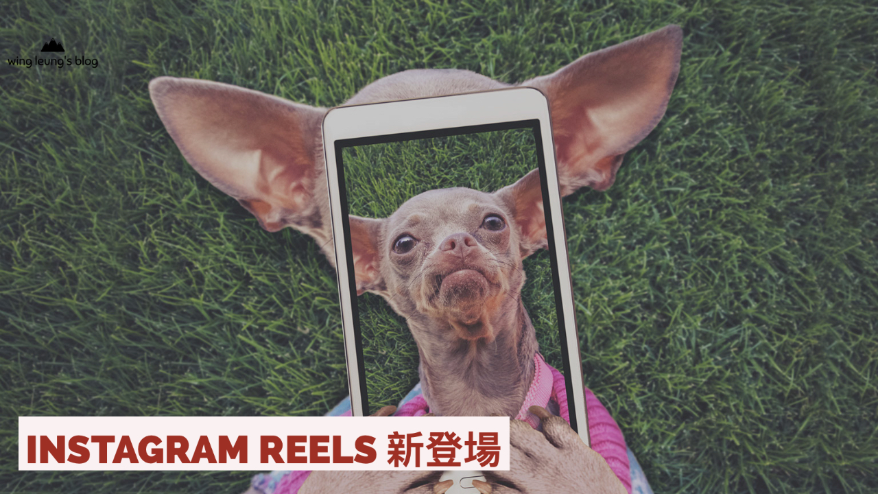 Instagram reels 香港新登場