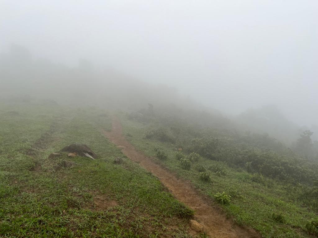 白茫茫的大帽山