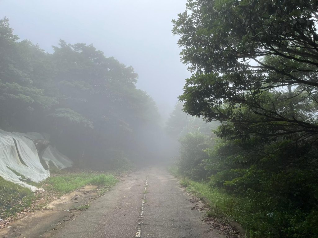 練習當天大帽山山頂有雨有霧