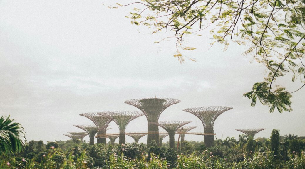 gardens by the bay singapore